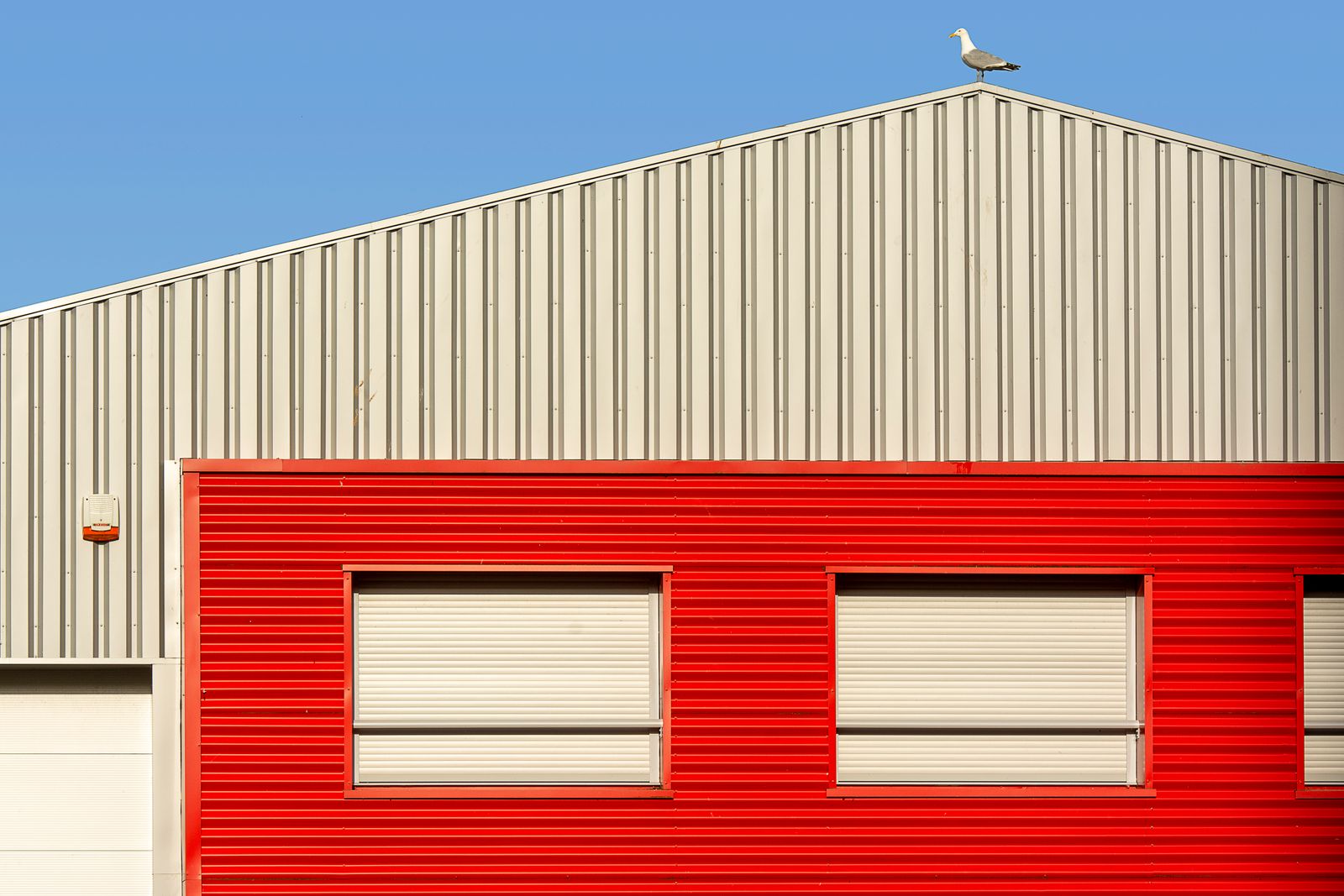 Clean commercial unit facade: grey metal upper wall with a red corrugated section below containing two shuttered windows, set against a bright blue sky (a seagull perched on the ridge).